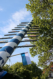 Maibaum aufstellen 2017 in Perlach (Foto: Martin Schmitz)